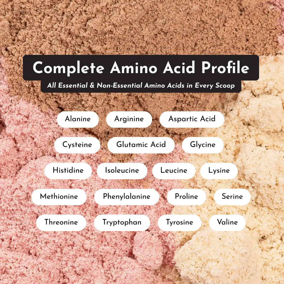 Chocolate Protein Powder - Individual Stick